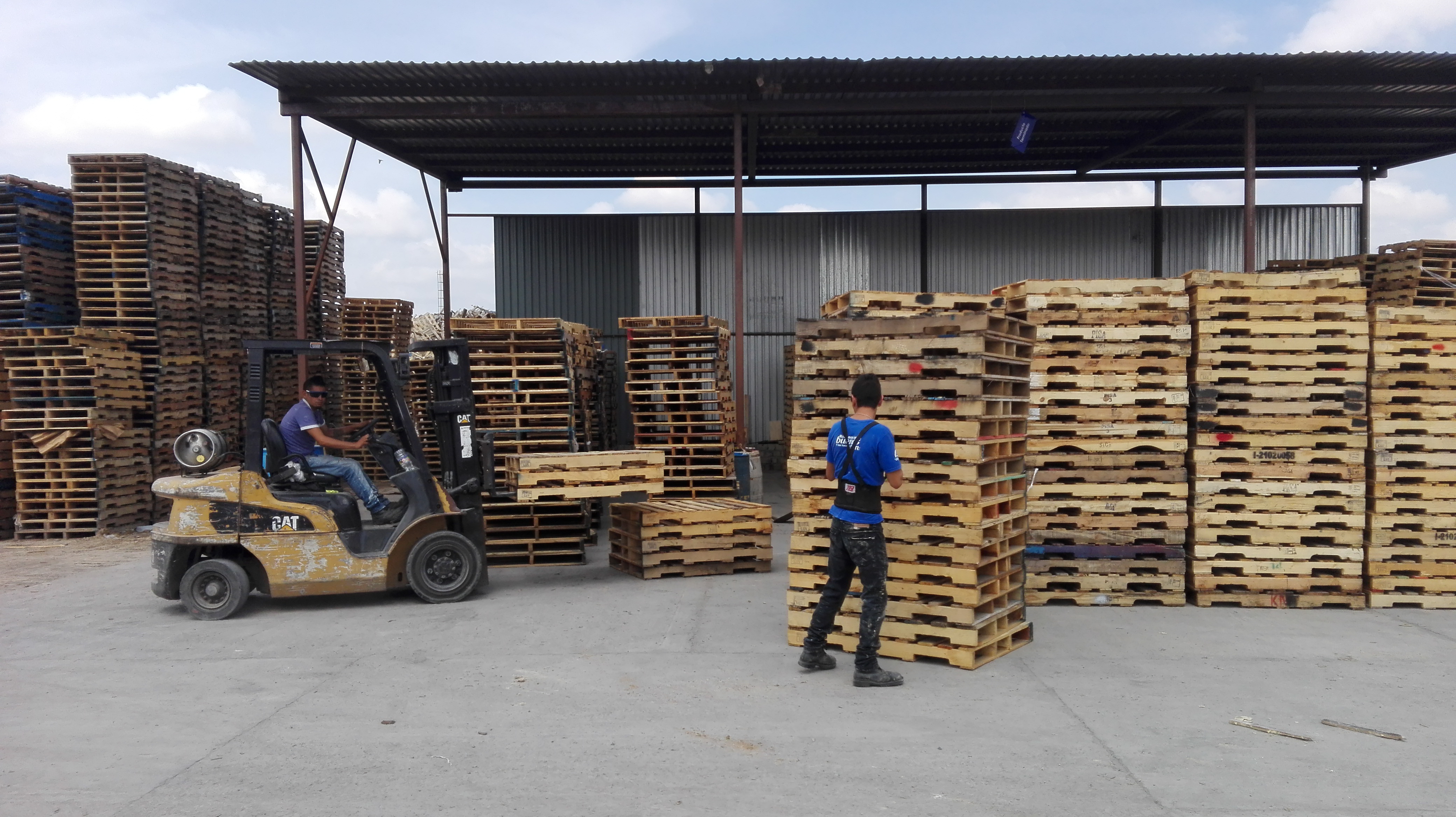 tarimas de madera precio