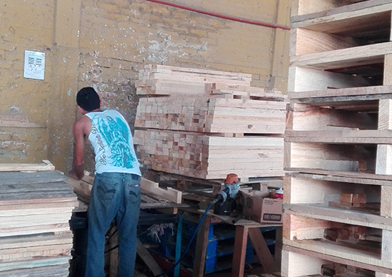 tarimas de madera en guadalajara