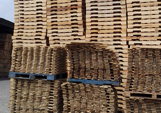 tarimas de madera en guadalajara